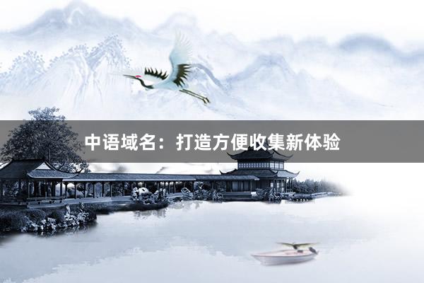 中语域名：打造方便收集新体验